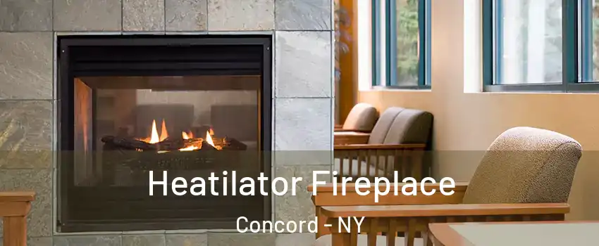 Heatilator Fireplace Concord - NY