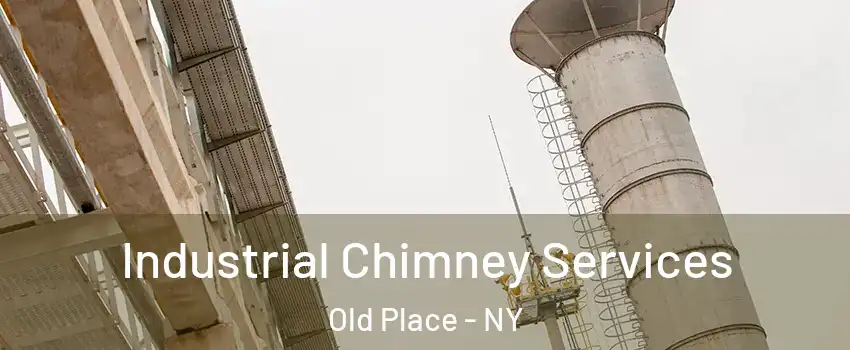 Industrial Chimney Services Old Place - NY