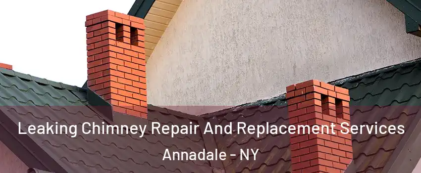 Leaking Chimney Repair And Replacement Services Annadale - NY