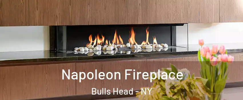 Napoleon Fireplace Bulls Head - NY