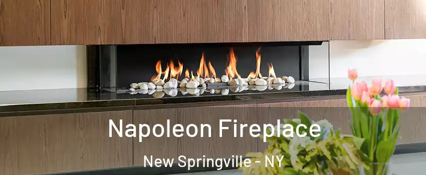 Napoleon Fireplace New Springville - NY