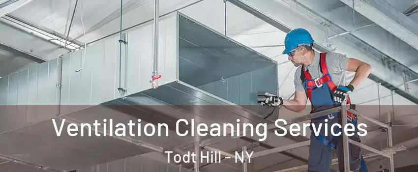 Ventilation Cleaning Services Todt Hill - NY